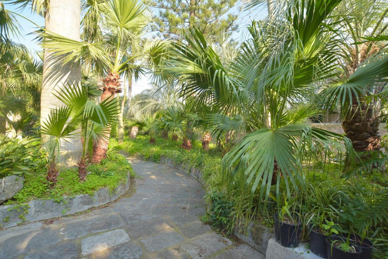 B&B Villa Regine Forio di Ischia Екстериор снимка